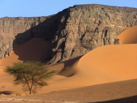 sahara2