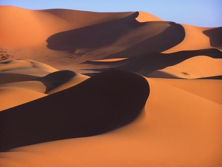 sahara