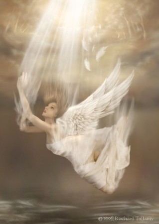 falling angel